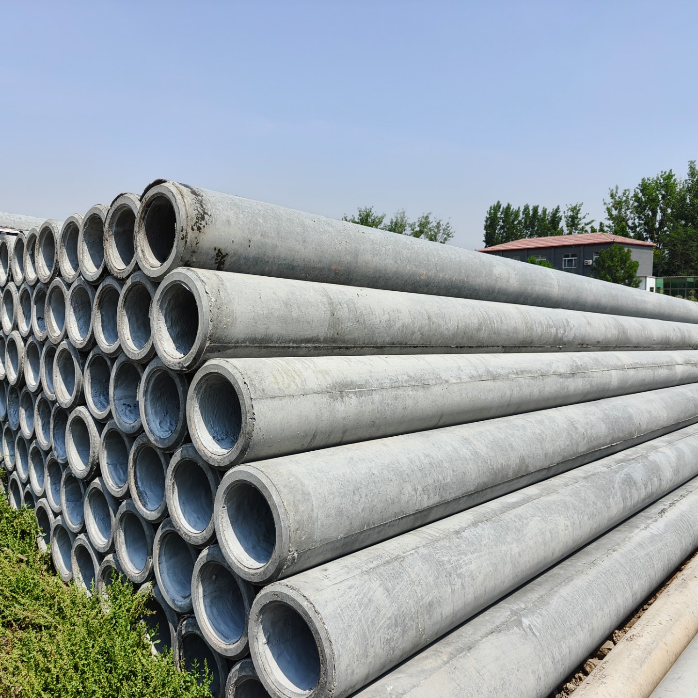 龙山10米钢筋混凝土电杆